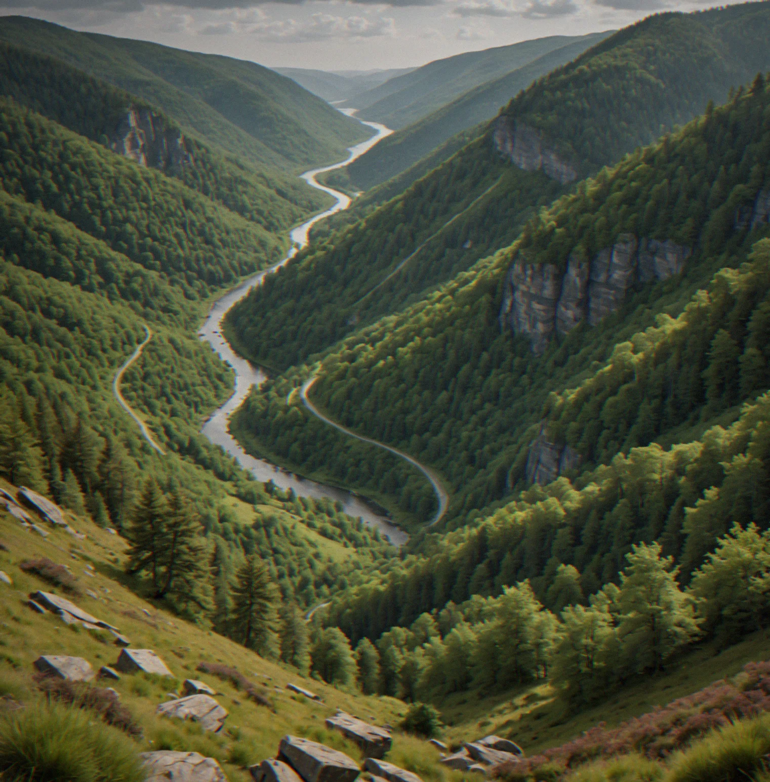 Forested hillside with distinct tree clusters and a winding river valley, vertical elevation clearly visible through vegetation density, no overlaid navigation tools